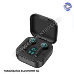 BTT13.jpg