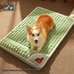 mascotas cama memory foam talla l