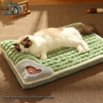 mascotas cama memory foam talla l