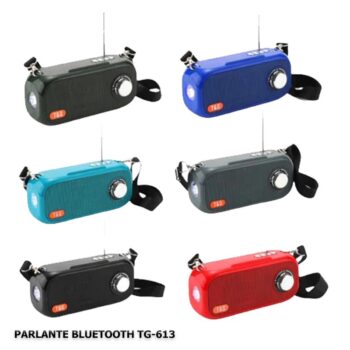 parlante tg 613