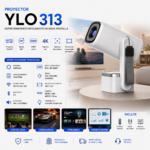YLO313.png