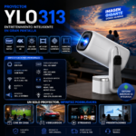 YLO313.png
